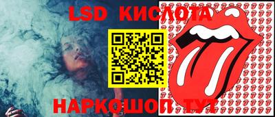 ECSTASY Камышлов