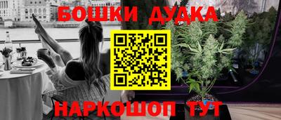 ECSTASY Камышлов