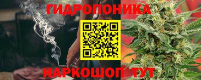ECSTASY Камышлов